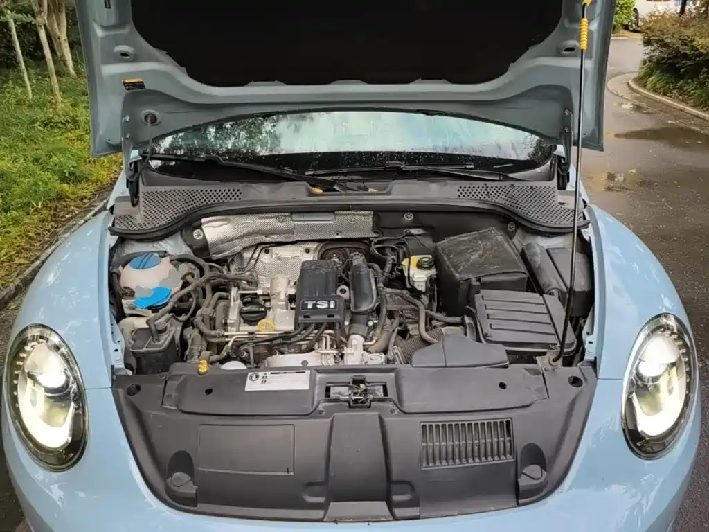 Volkswagen Beetle — миниатюра 20