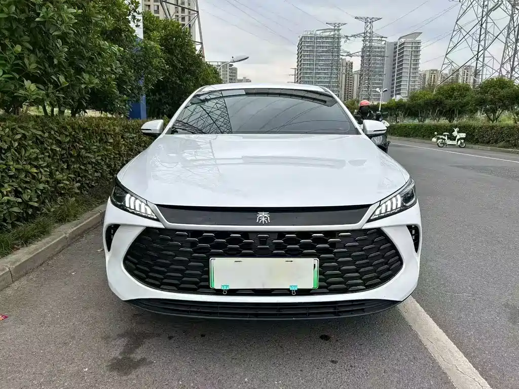 BYD Qin Plus PLUS 2025 DM-i Smart Drive 55KM Lead
