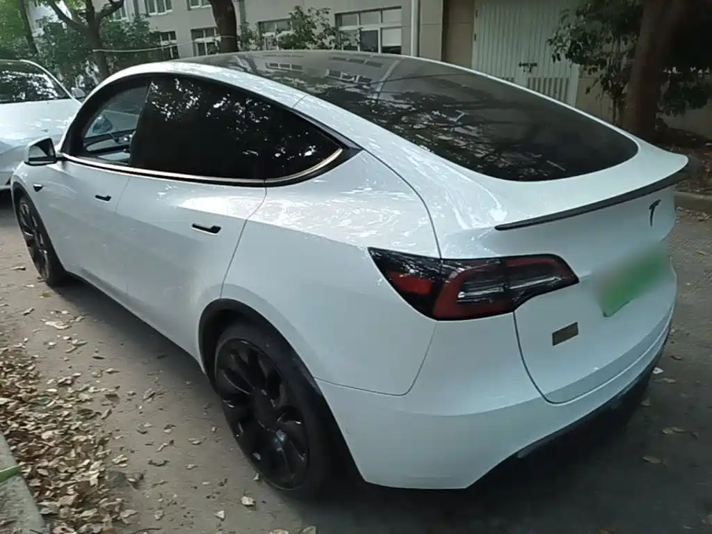 Tesla Model Y — миниатюра 5