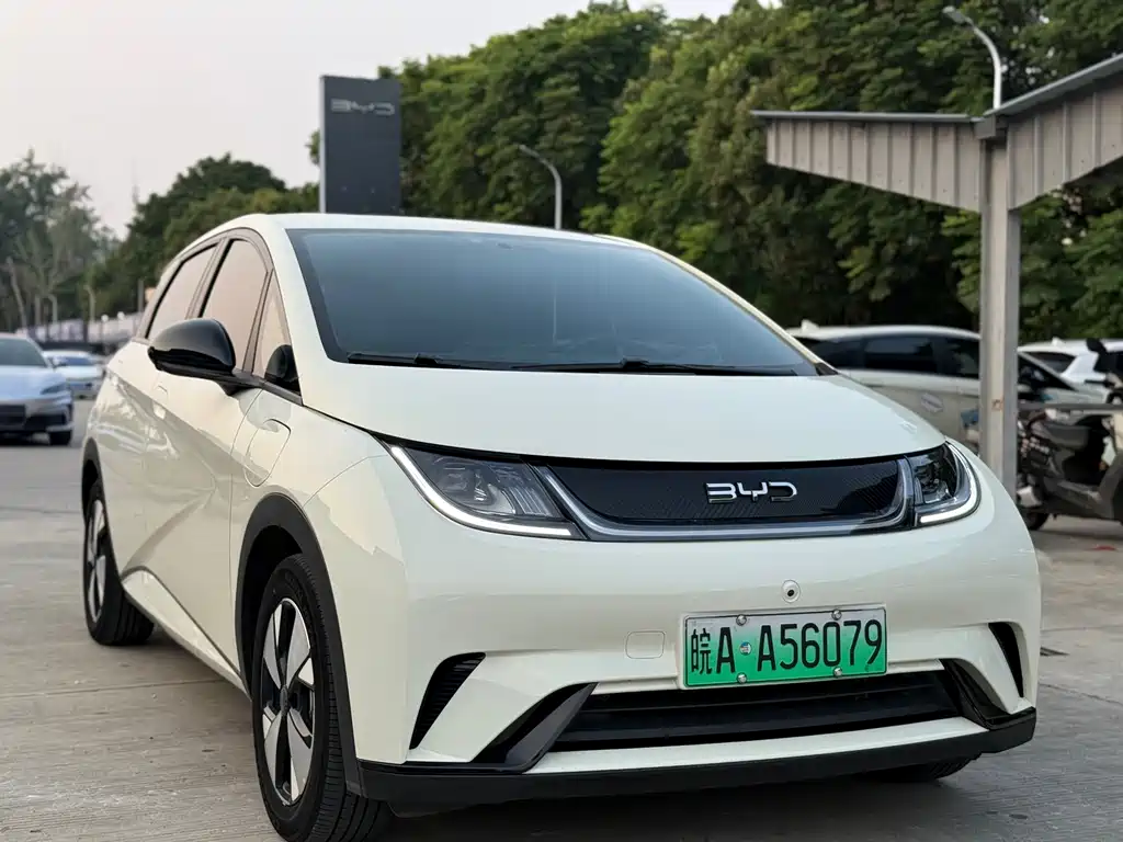 BYD Dolphin 2023 420km Freedom
