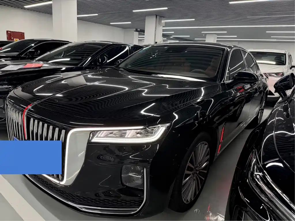 Hongqi Hongqi H9 2020