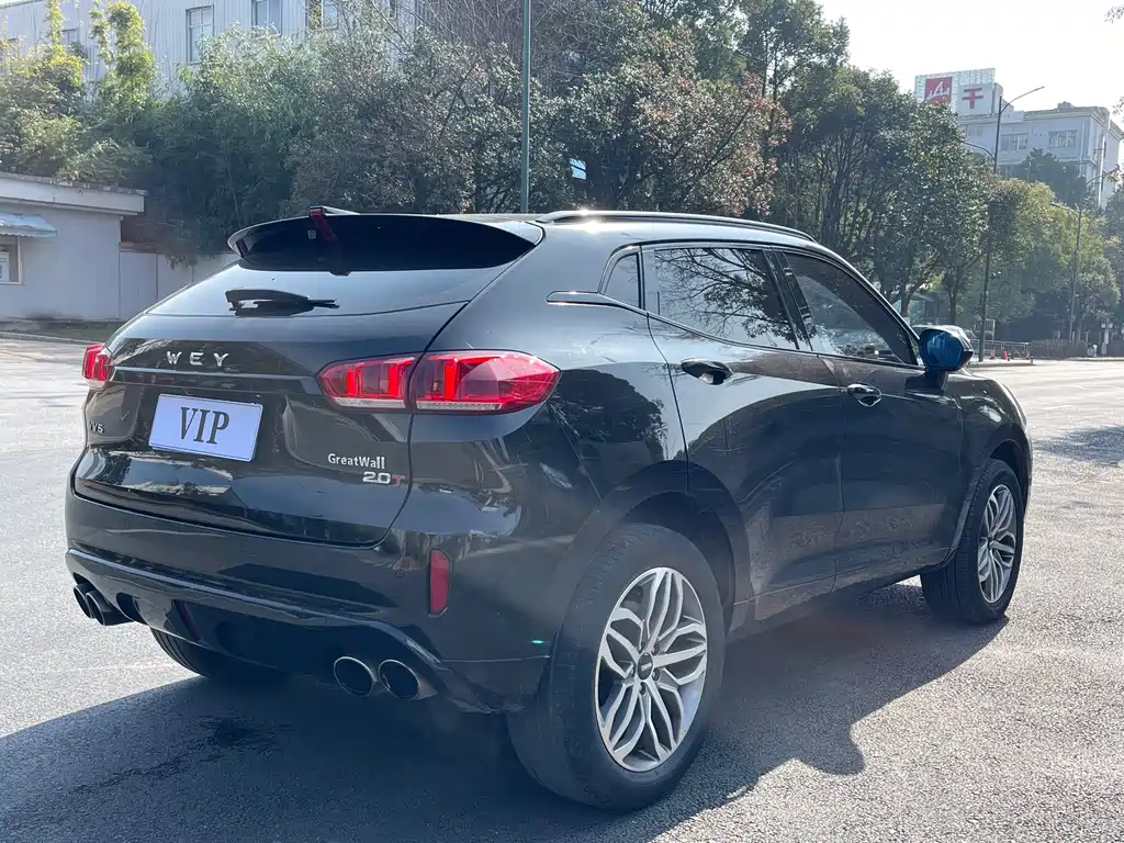 WEI PAI WEI BRAND VV5