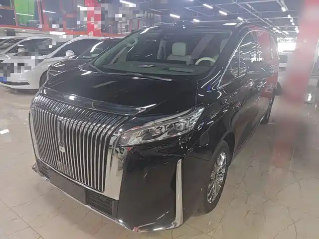 2025 Wey Gaoshan