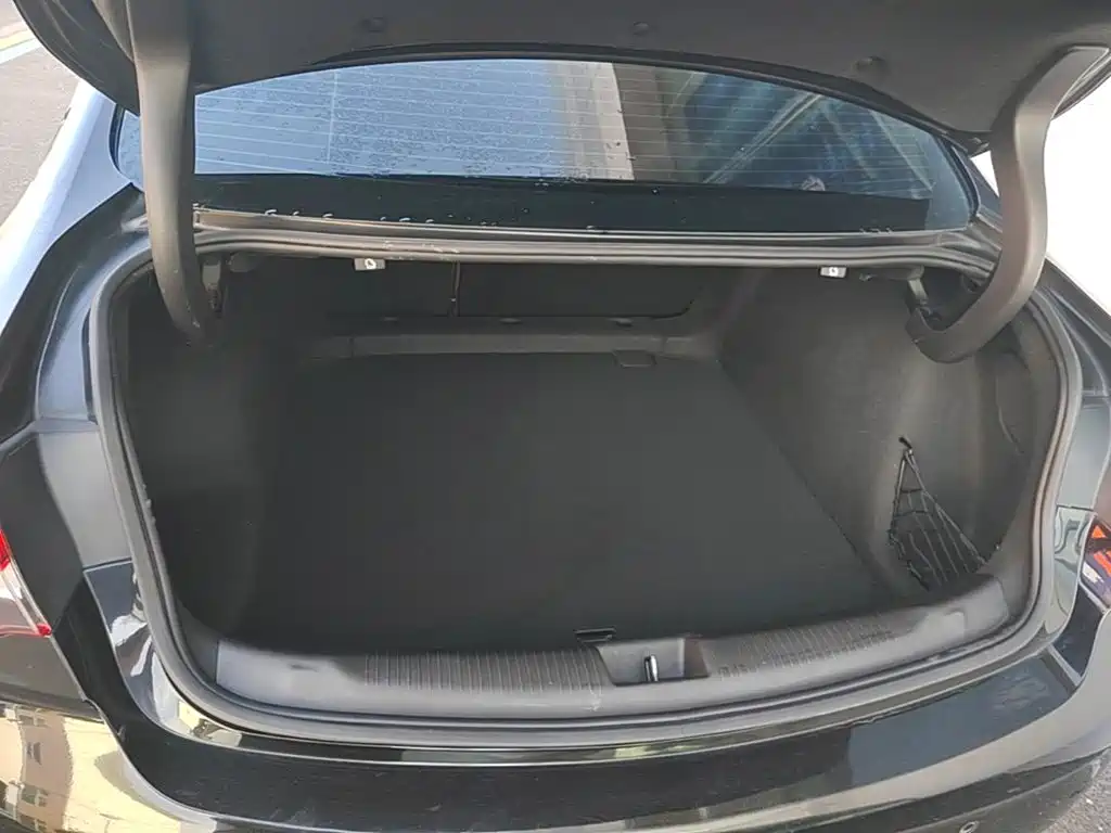 Buick Regal — миниатюра 19