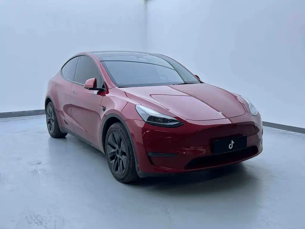 Tesla Model Y — миниатюра 3