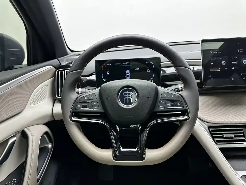 BYD Pro New Energy — миниатюра 8