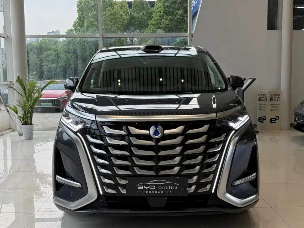 Denza D9