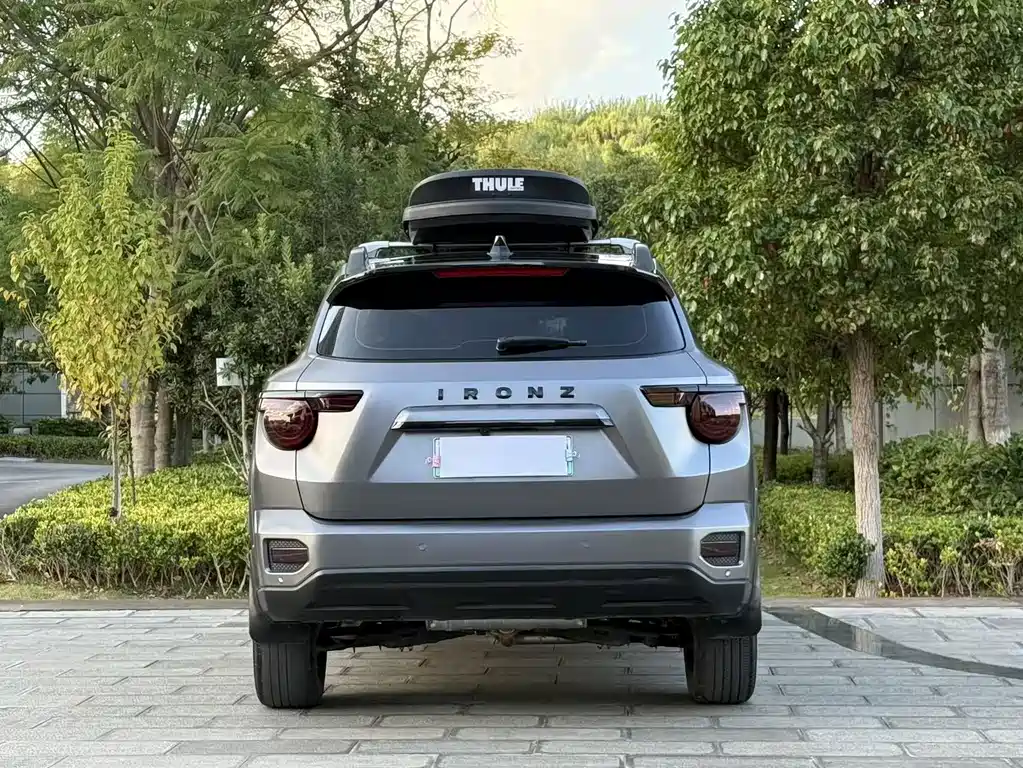 Haval Big Dog PLUS New Energy — миниатюра 8