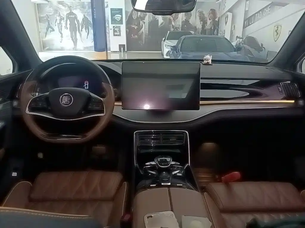 BYD Tang New Energy — миниатюра 10