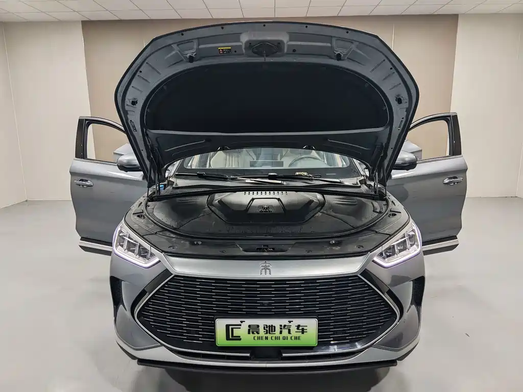 BYD PLUS New Energy — миниатюра 13