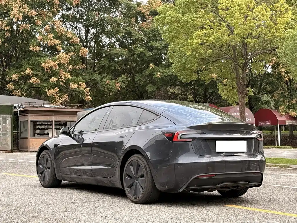 Tesla Model 3 — миниатюра 6