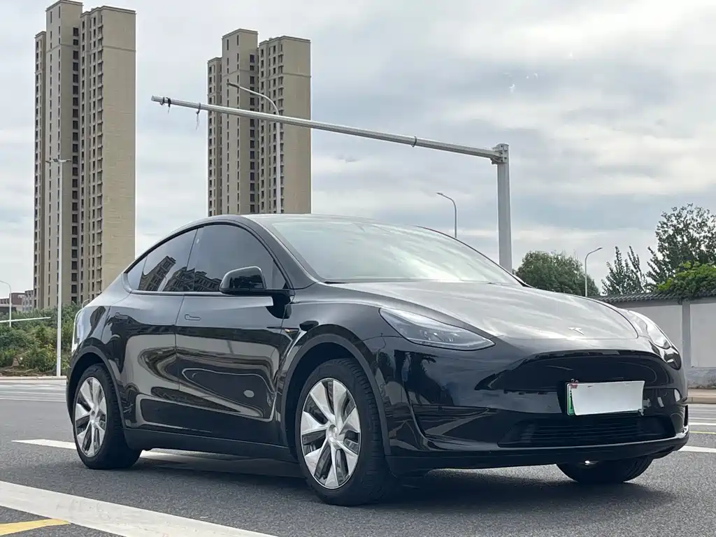 Tesla Model Y — миниатюра 3