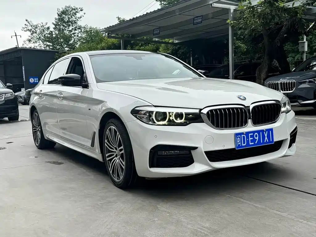 BMW 5 Series 5 2019 530Li Lead Luxury