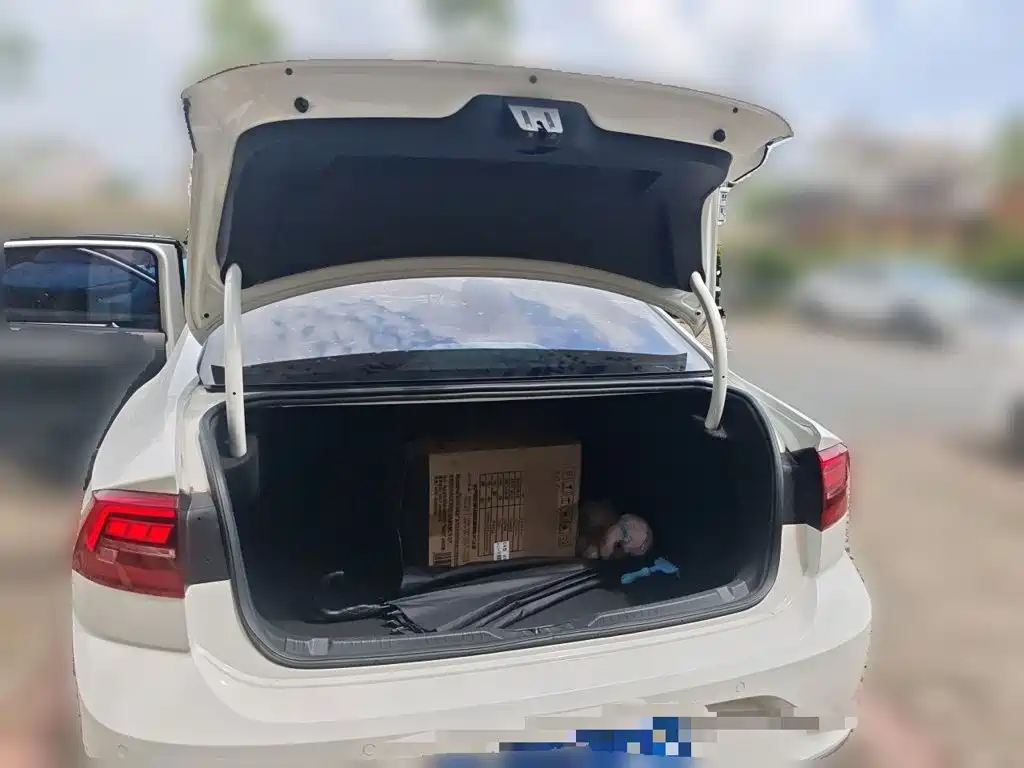 Volkswagen Lamando — миниатюра 16