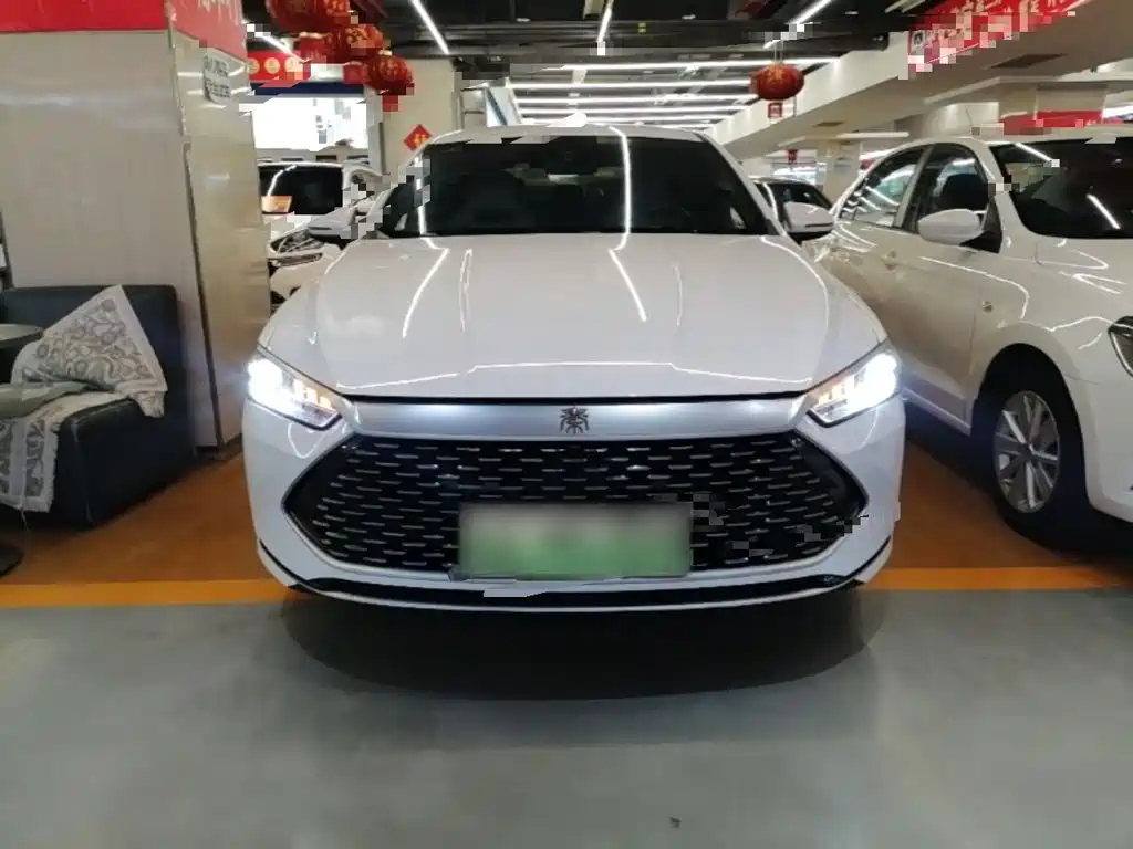 BYD Qin Plus PLUS 2024 DM-i 55KM Lead