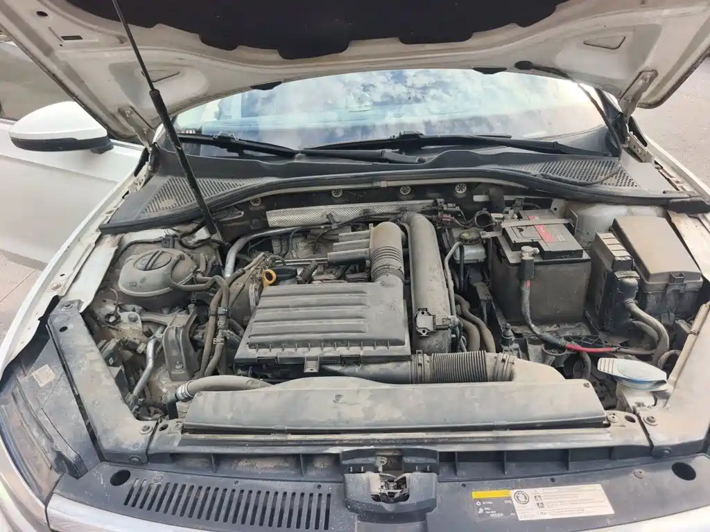 Volkswagen Lamando — миниатюра 19
