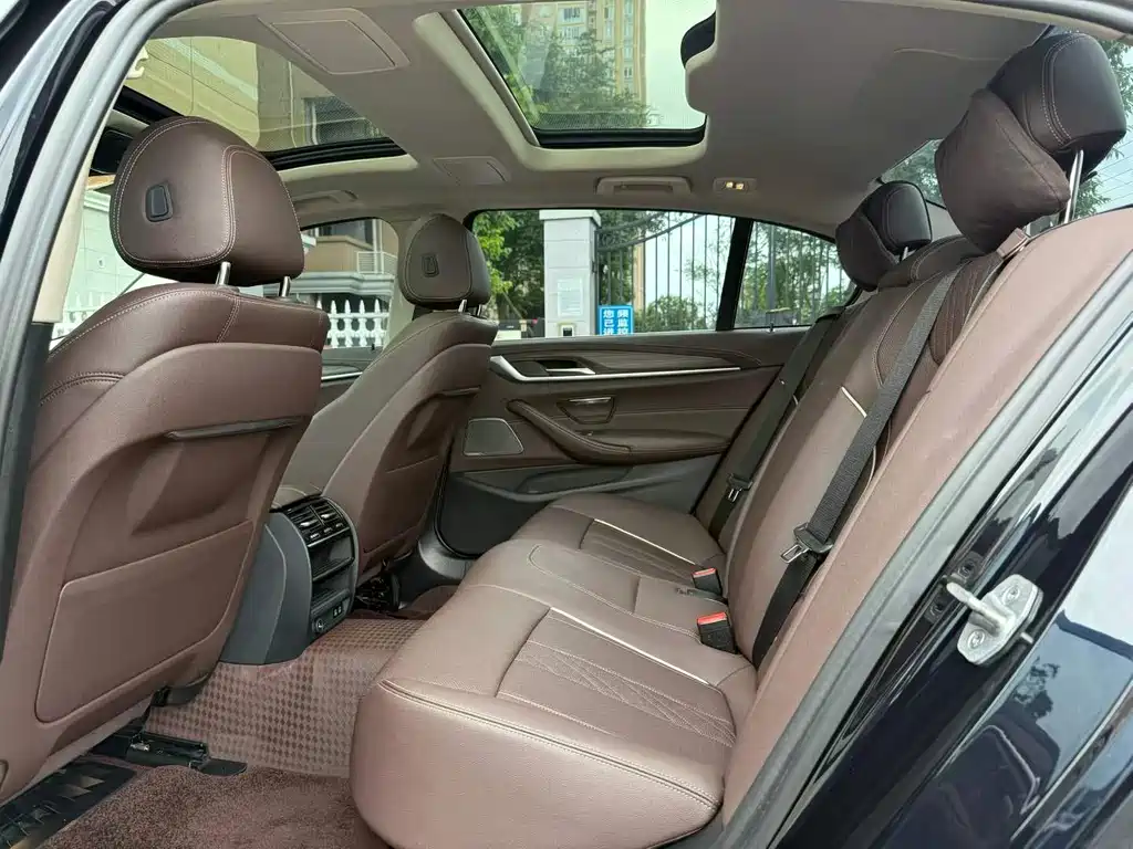 BMW 5 Series 5 2022 530Li Lead Luxury