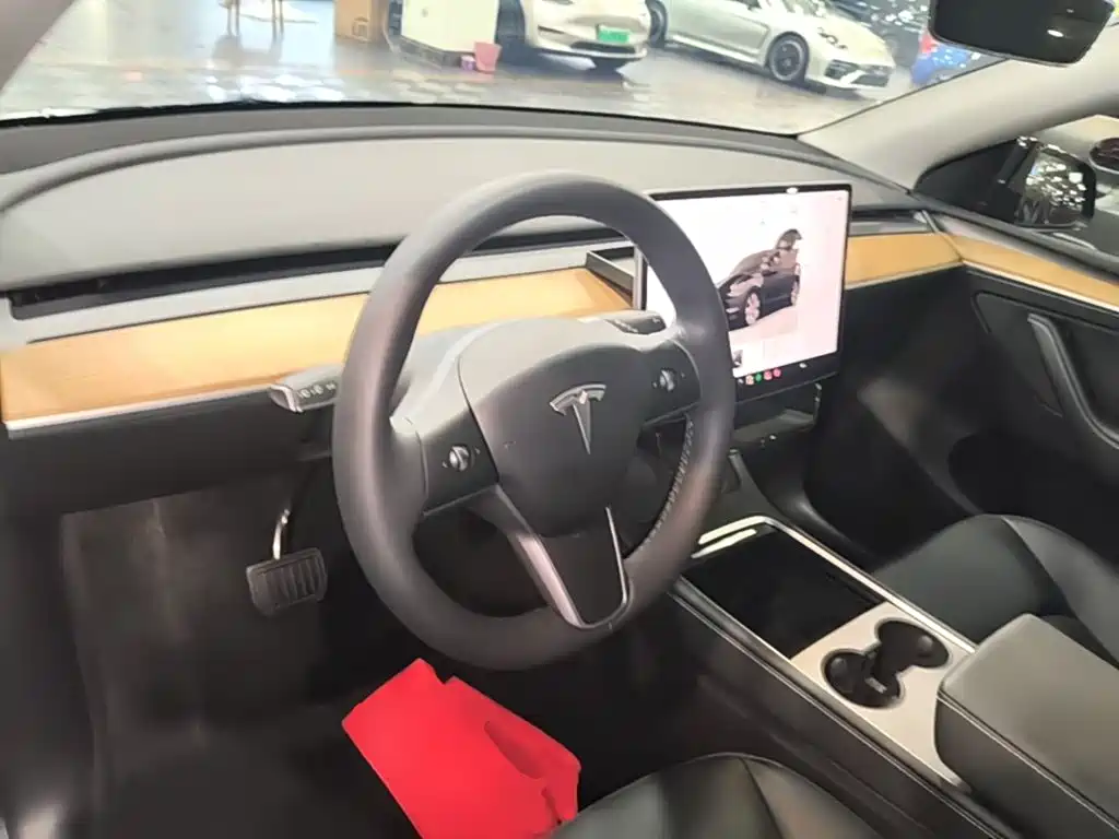 Tesla Model Y — миниатюра 11