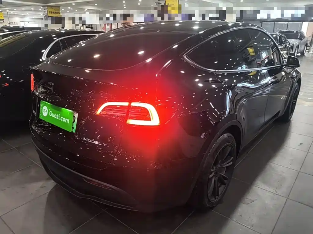 Tesla Model Y — миниатюра 7