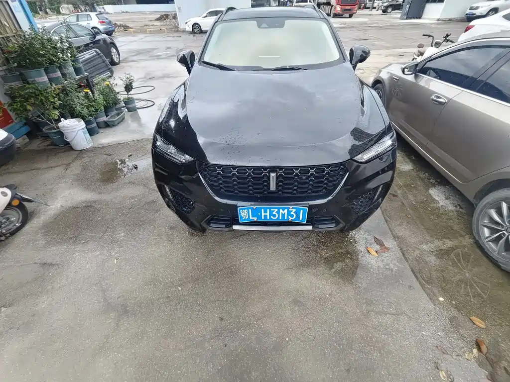 Wey Wey VV7 — миниатюра 2