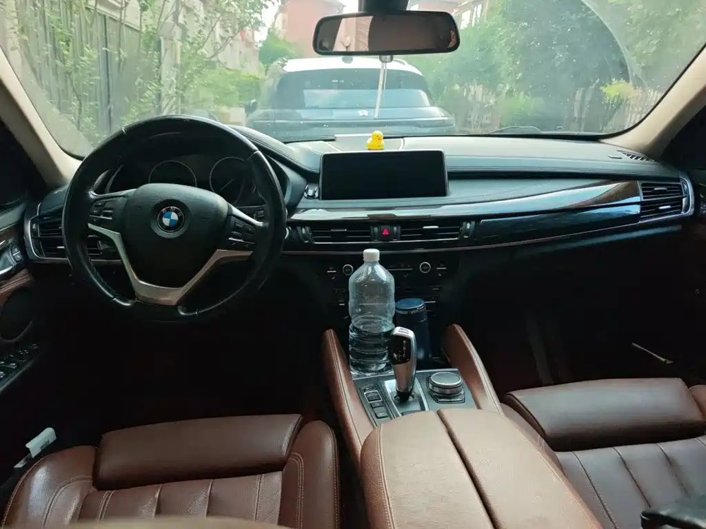 BMW X6 — миниатюра 10