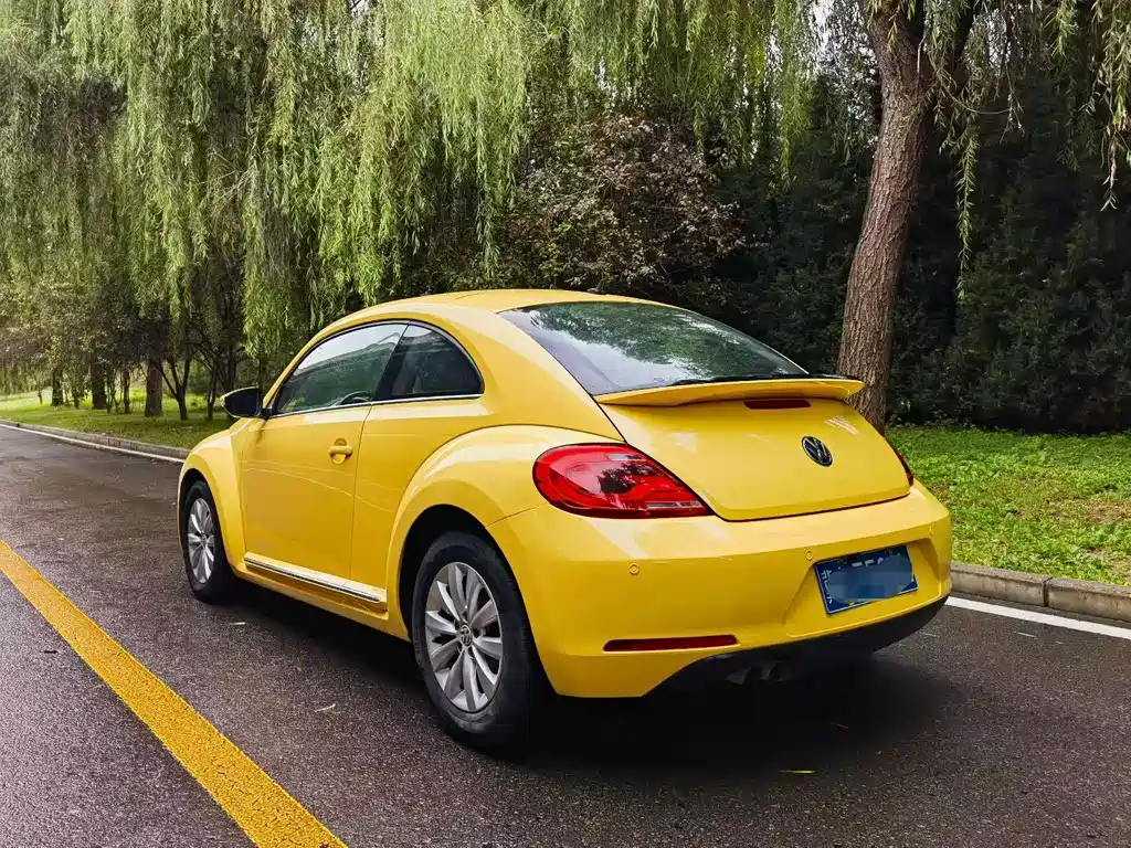 Volkswagen Beetle — миниатюра 4