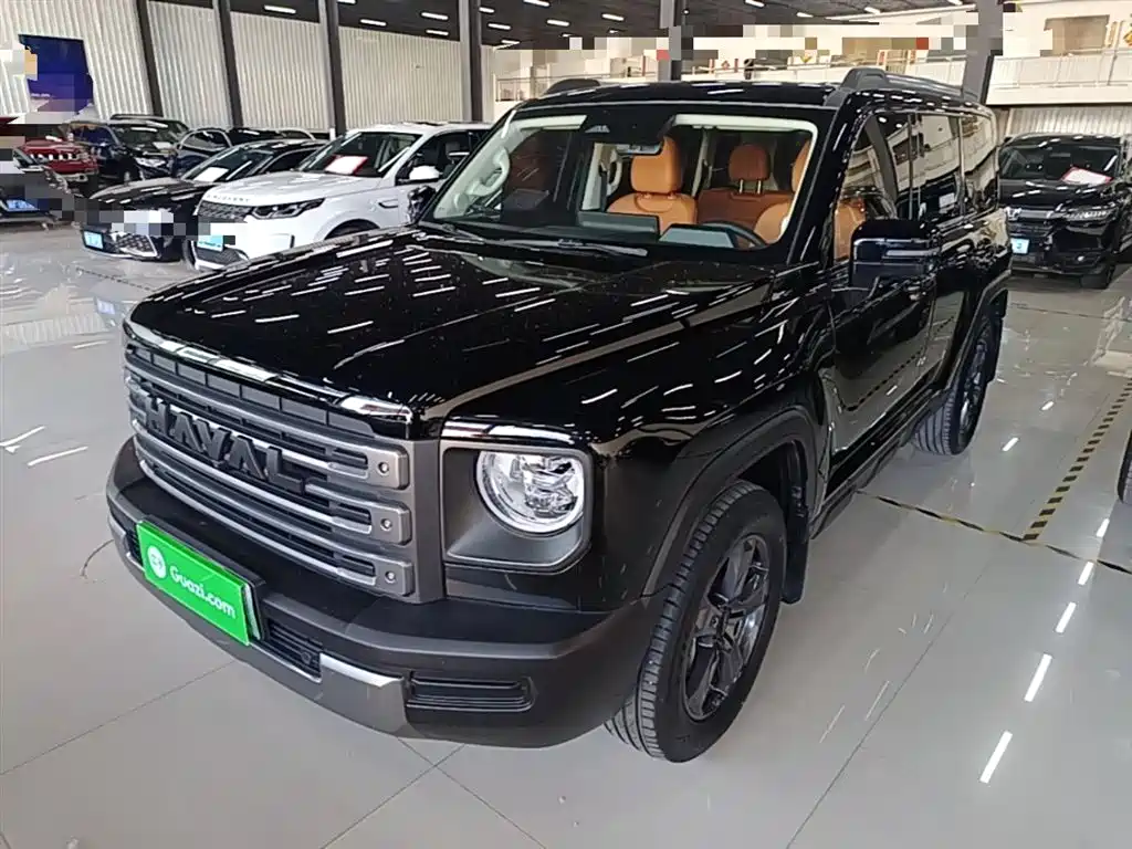Haval Menglong New Energy 2024