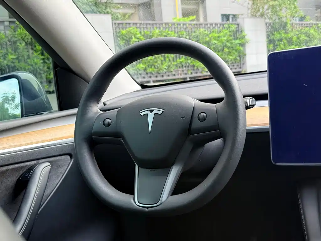Tesla Model Y — миниатюра 7