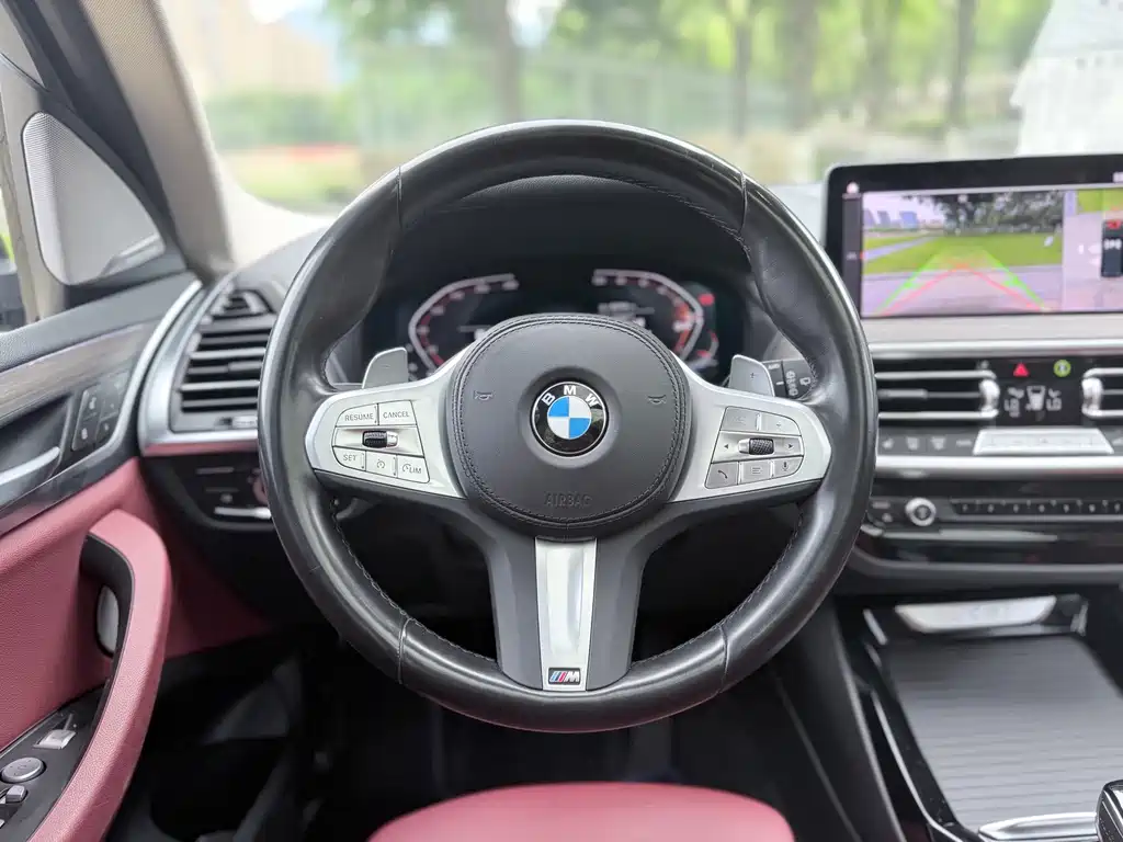 BMW X3 2023 xDrive30i Lead M