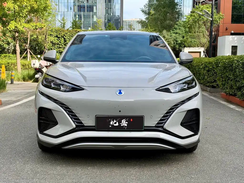Denza Denza N7 — миниатюра 2