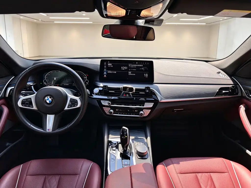 BMW 5 Series New Energy — миниатюра 13