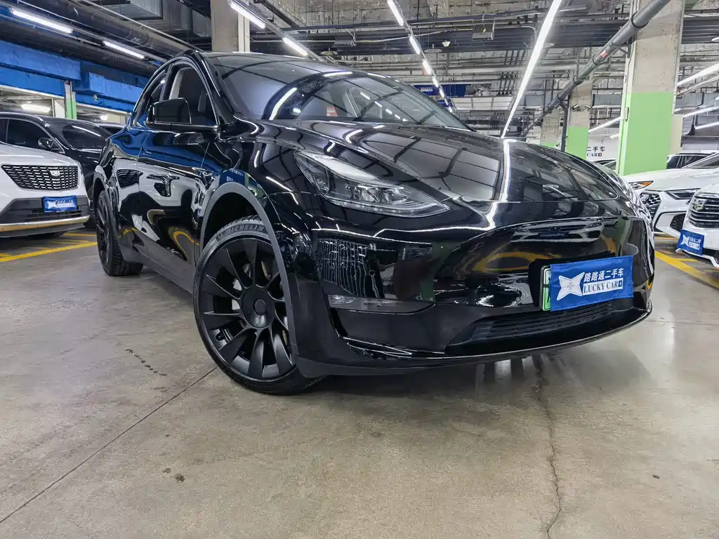 Tesla Model Y — миниатюра 3