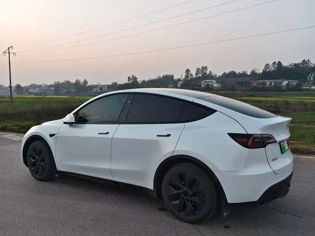 Tesla Model Y — миниатюра 8