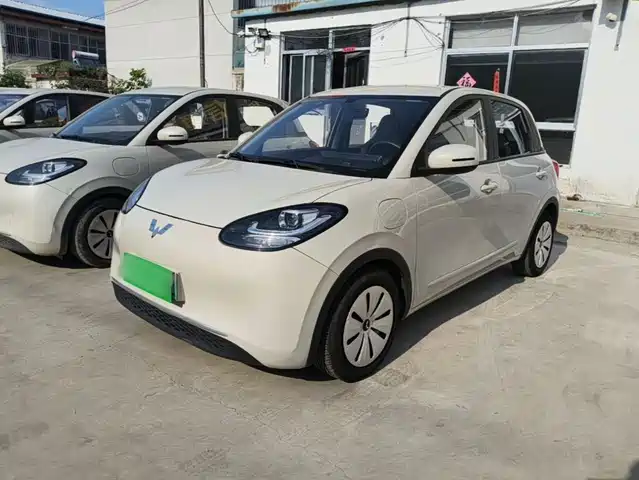 2024 Wuling Motors Binguo