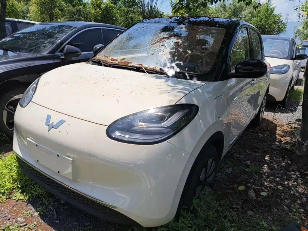 Wuling Binguo 2025 333km