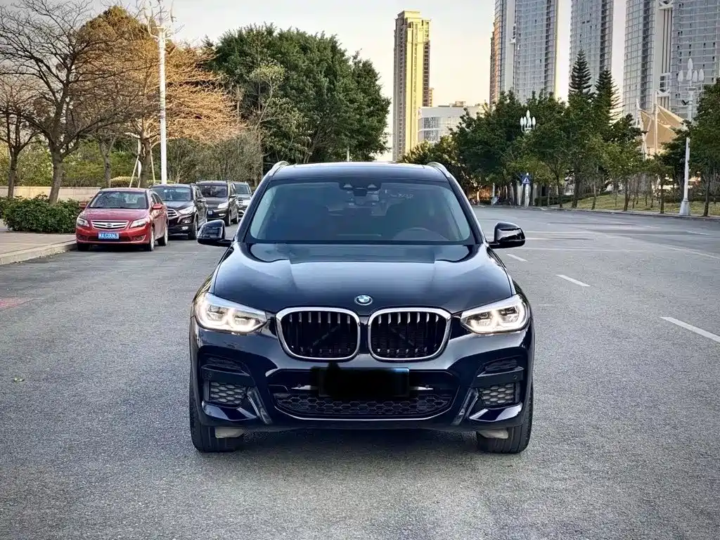 BMW X3 — миниатюра 2