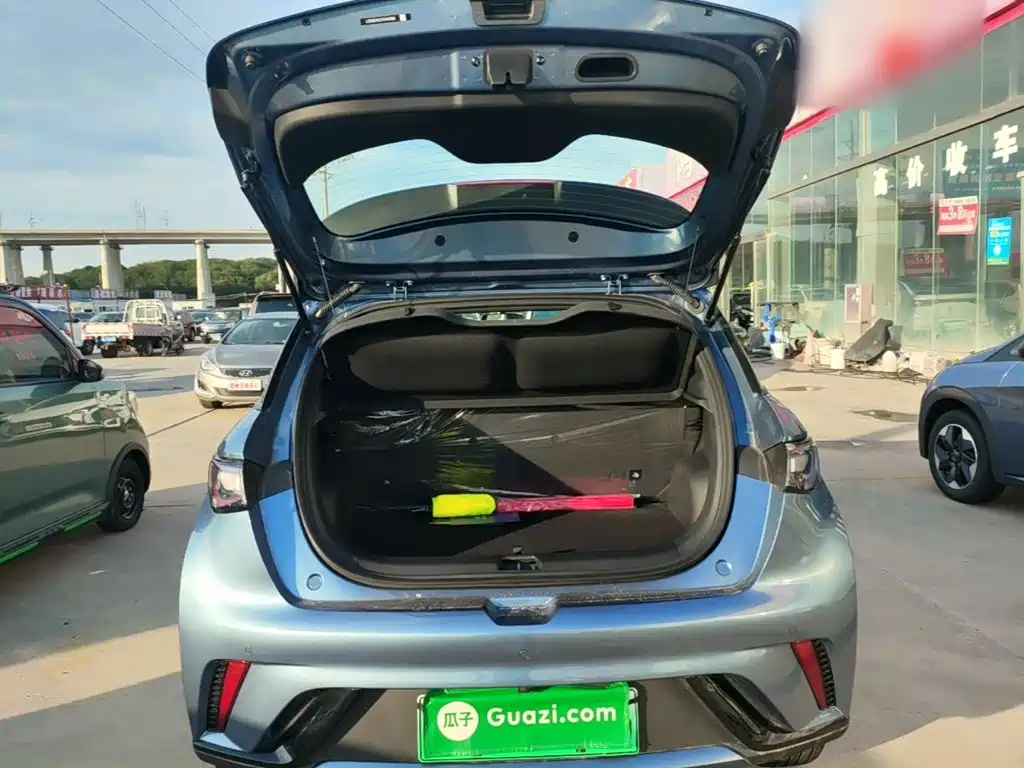 BYD Dolphin — миниатюра 19