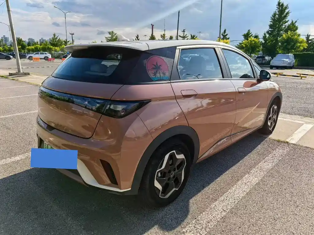 BYD Dolphin — миниатюра 4