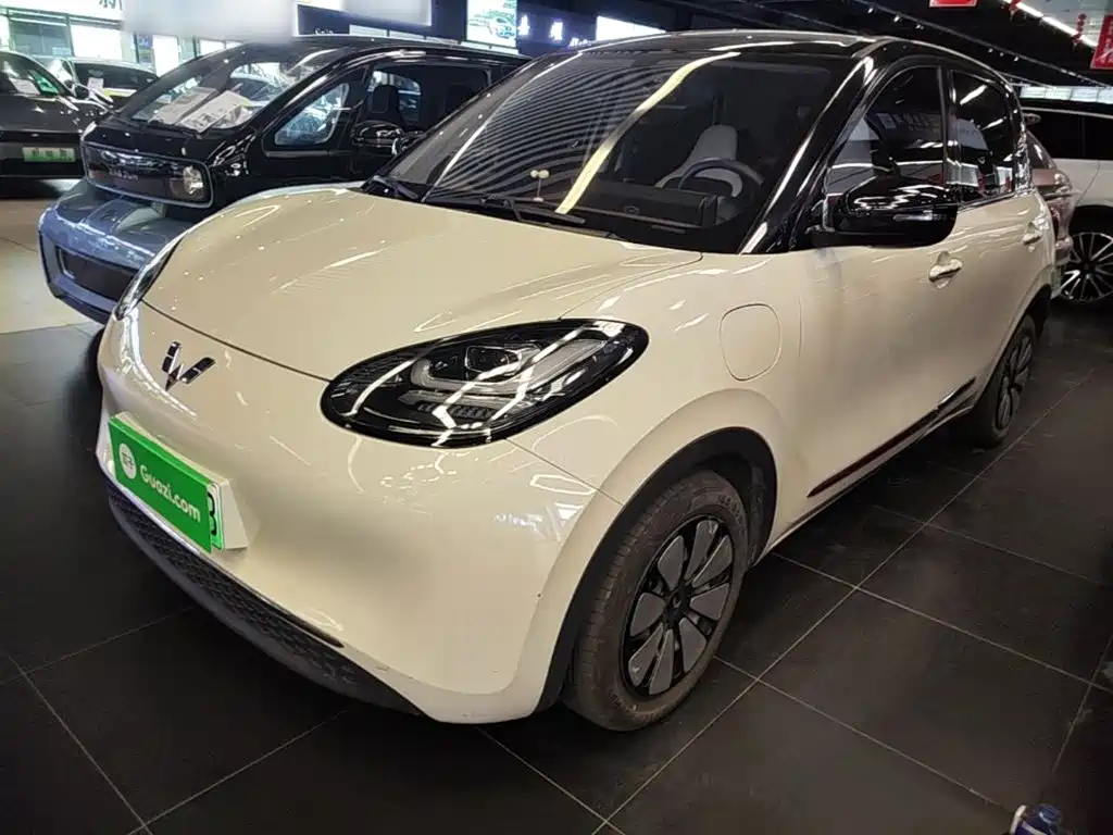 Wuling Binguo 2024 333km Delight