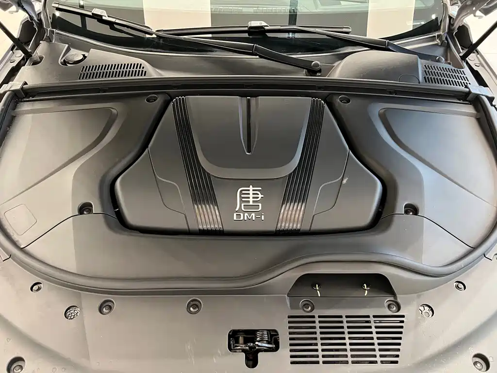 BYD Tang New Energy — миниатюра 14