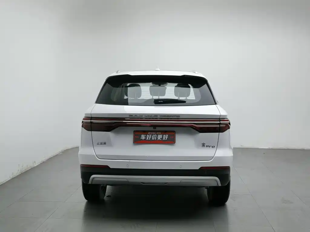 BYD Pro — миниатюра 4
