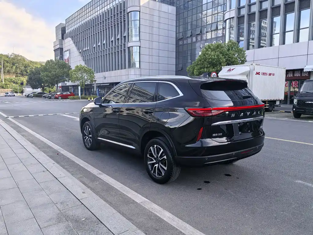 Haval H6 — миниатюра 8