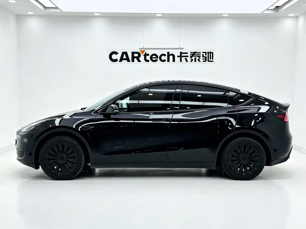 Tesla Model Y — миниатюра 4