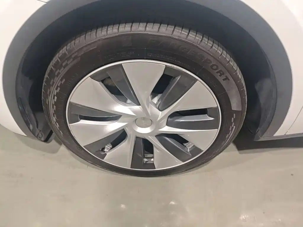 Tesla Model Y — миниатюра 23