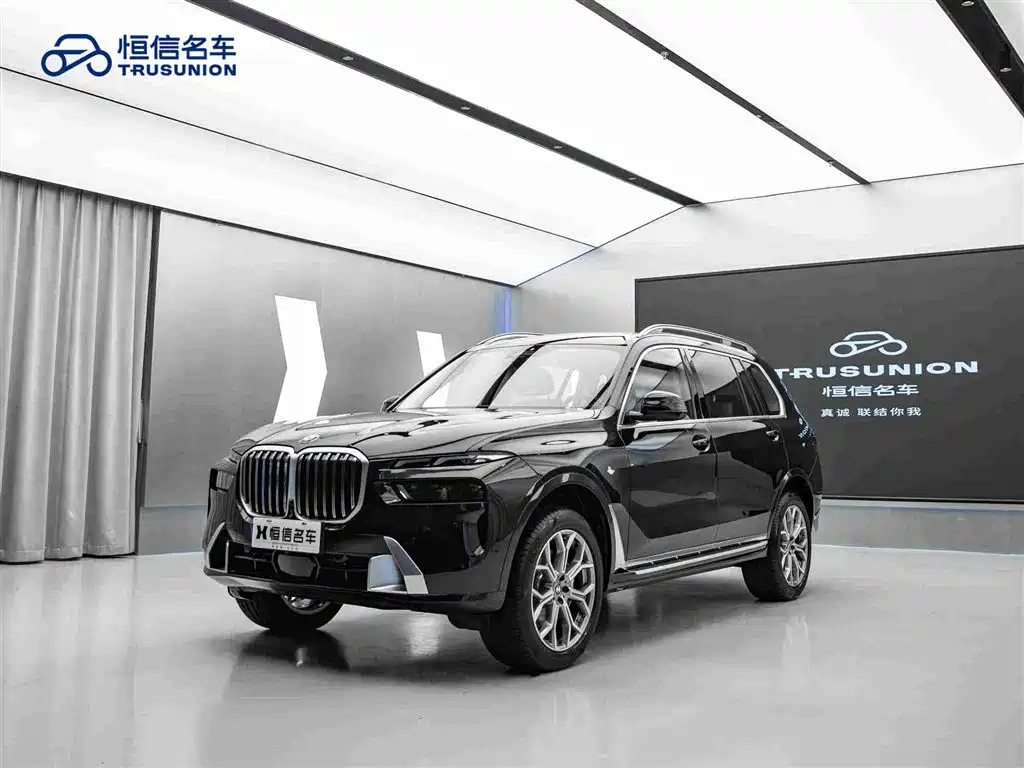 BMW X7 — миниатюра 3