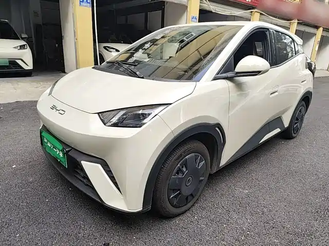 BYD Seagull