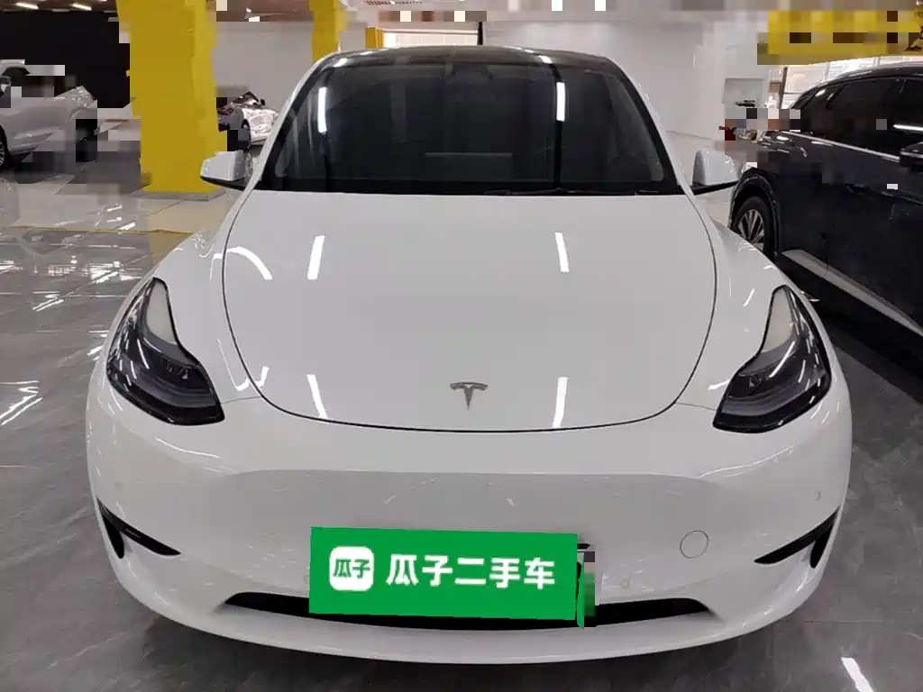 Tesla Model Y — миниатюра 3