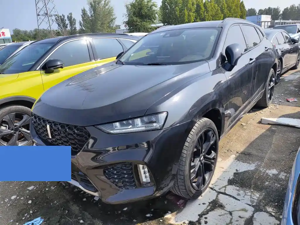 WEI PAI WEI BRAND VV7