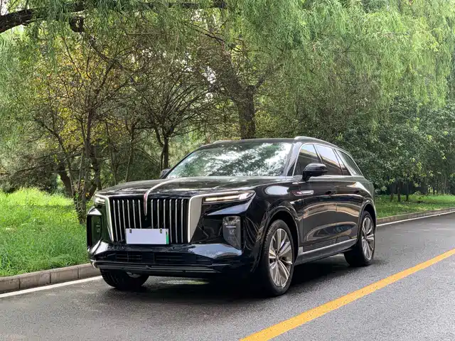 Hongqi E-HS9
