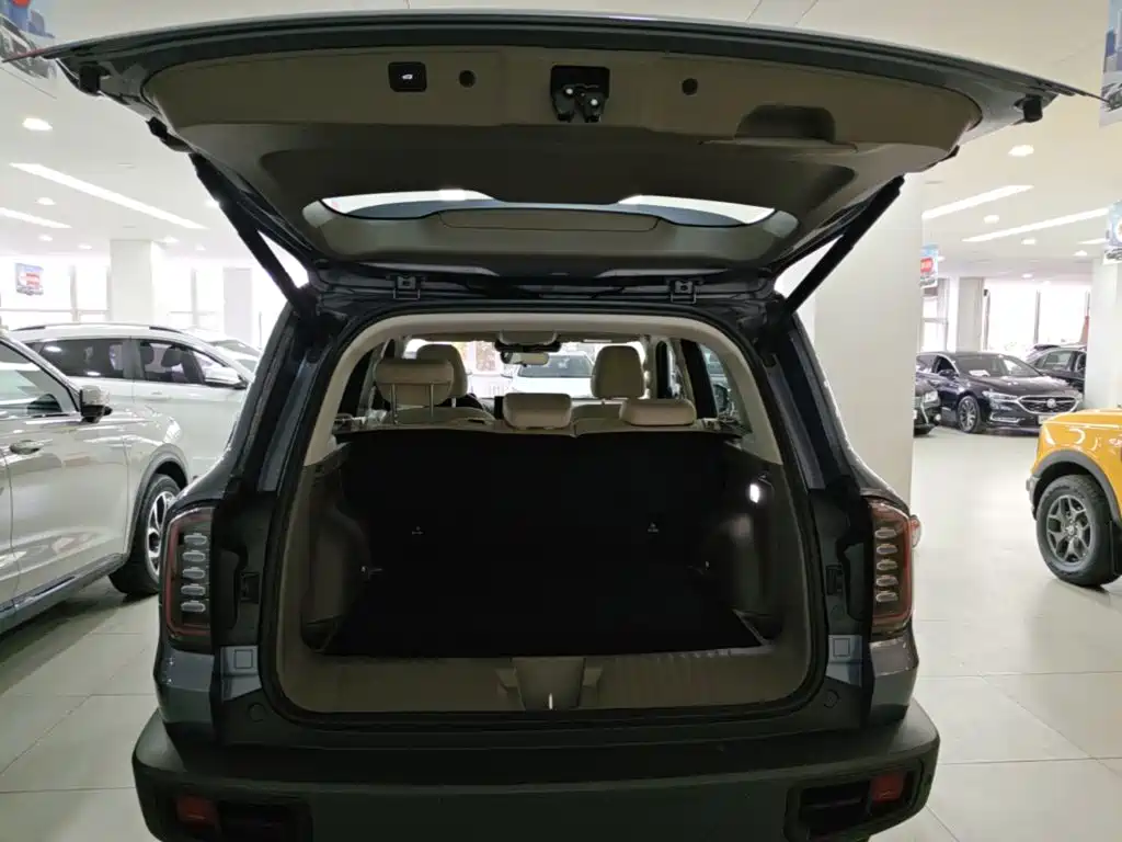 Haval Big Dog — миниатюра 19